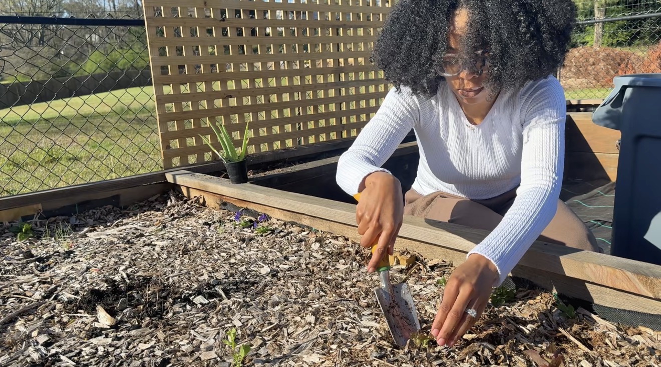 Gardener kneeling beside a wooden raised bed, using a trowel to tuck a seedling into mulch