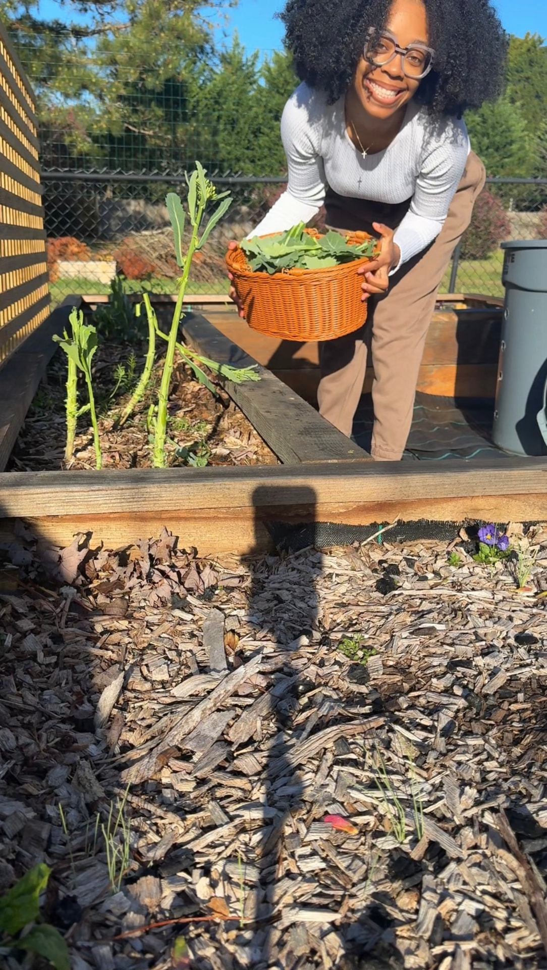 Gardener holding a woven basket of freshly harvested greens and carrots beside a raised bed